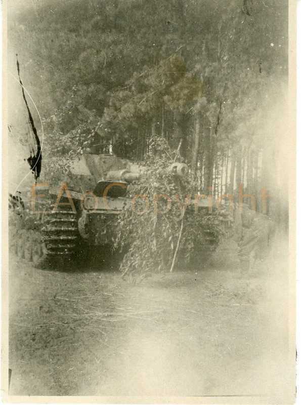Panzer Tank StuG Sturmgeschütz Foto