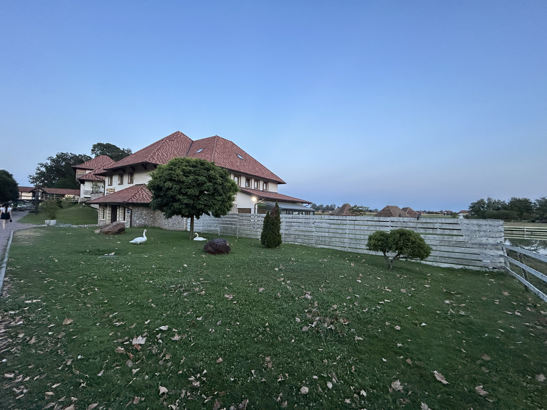 20240728_201535_IMG_9466