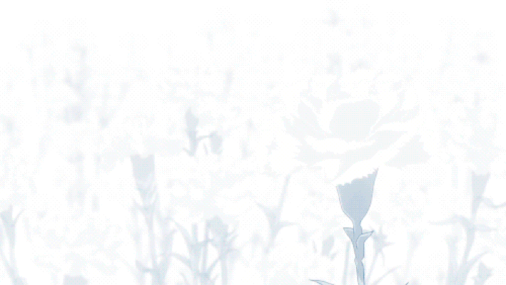 1000030884.gif