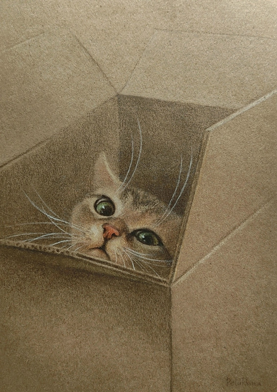 08