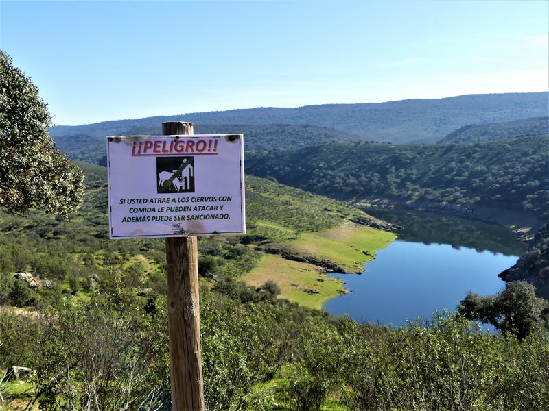 PARQUE NACIONAL DE MONFRAGÜE-2020/2023 - EXTREMADURA Y SUS PUEBLOS -2010-2023 (114)