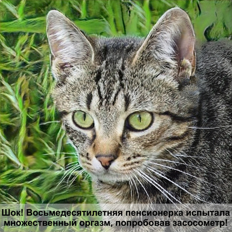 пушок домики для кошек