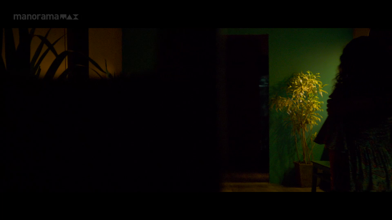 vlcsnap 2026 02 22 11h33m10s341