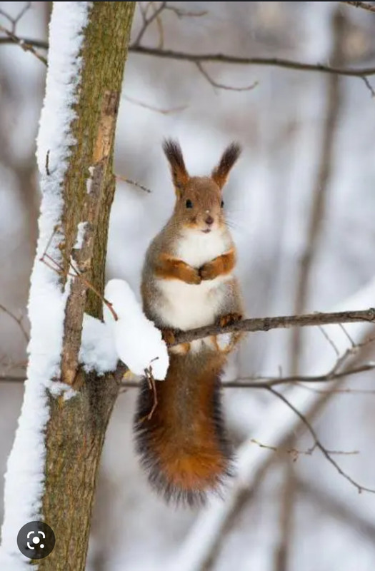 Screenshot_20221125-002012_Chrome