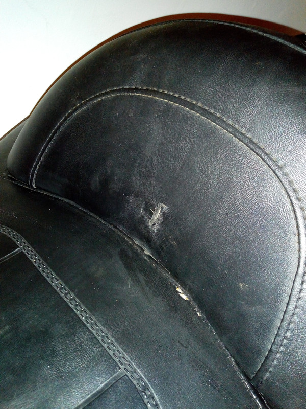 IMG_20190211_114116593