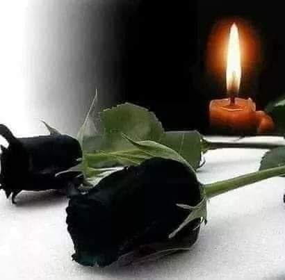 FB IMG 1710006220568