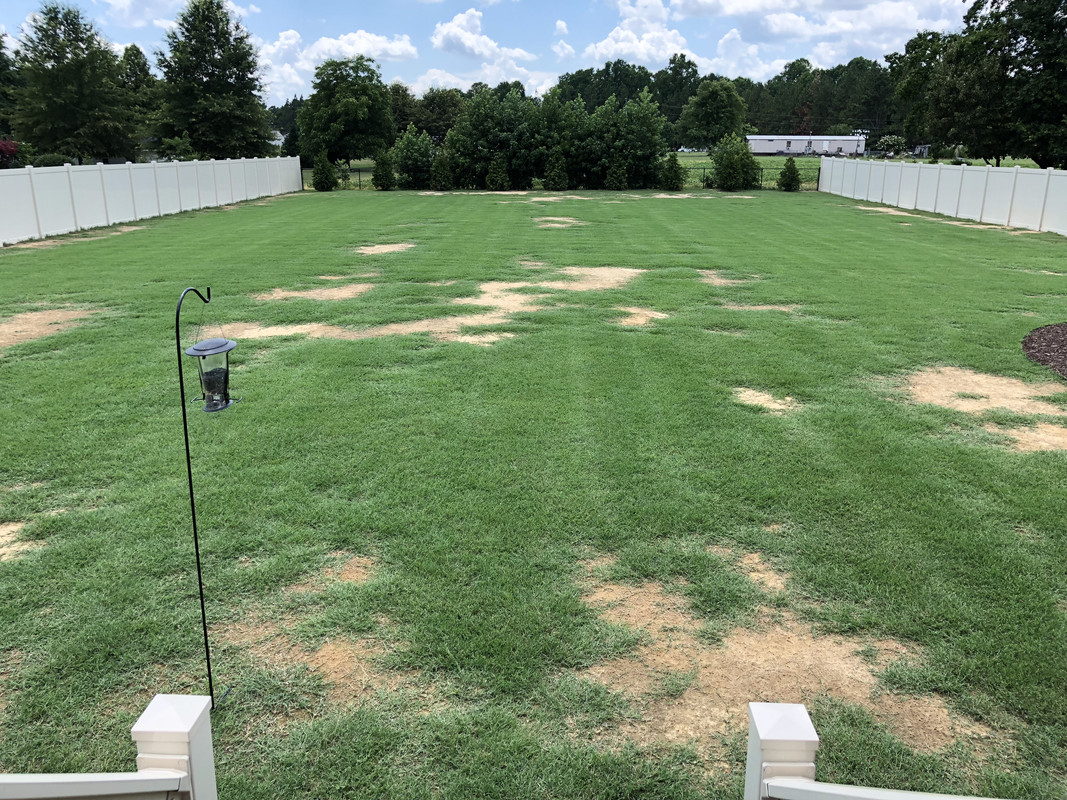 7C3E42AA-7837-4AD4-8FA3-1C02A94F204A