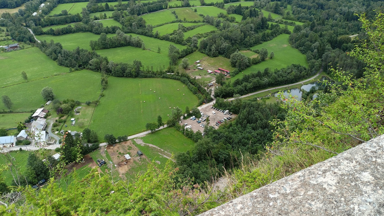 IMG20250726131256 (Large)