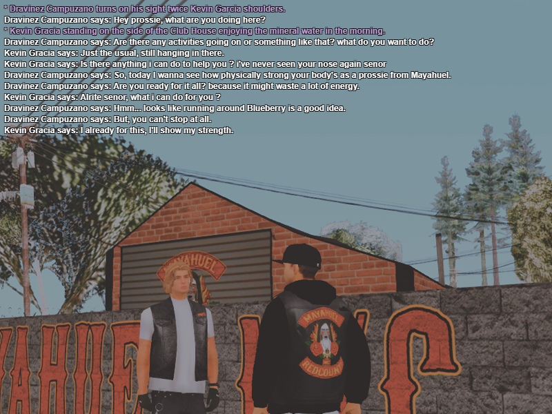 ssrp356.png