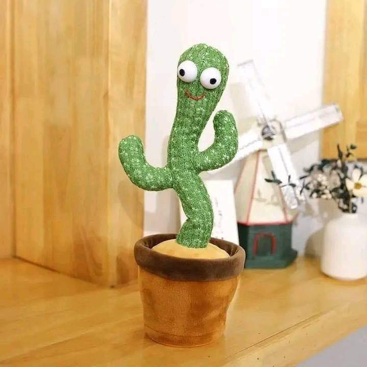 Dancing  Cactus