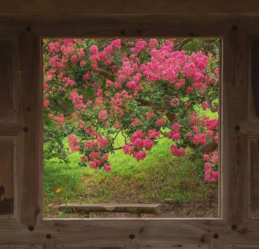 Screenshot_20240501_150112_Threads