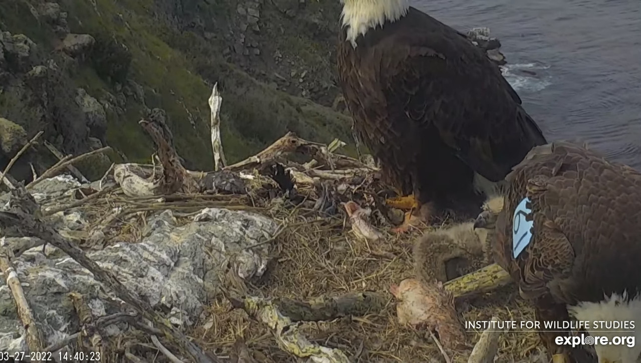 EB237663-EDAD-44B4-A8CB-AD5592D98DB3