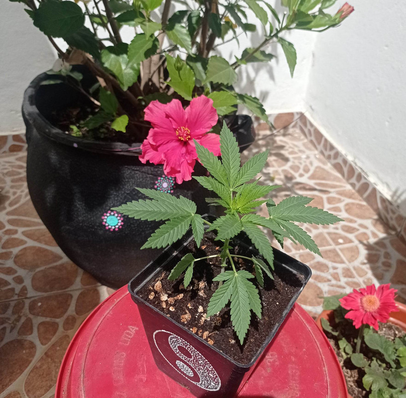 322679816_1321151675350377_3884586288253289510_n