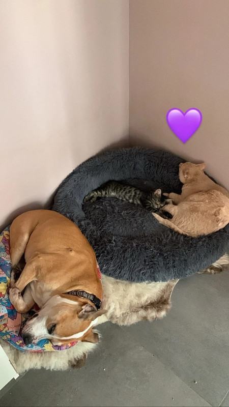 WhatsApp Image 2023-10-27 at 16.06.38 (1)