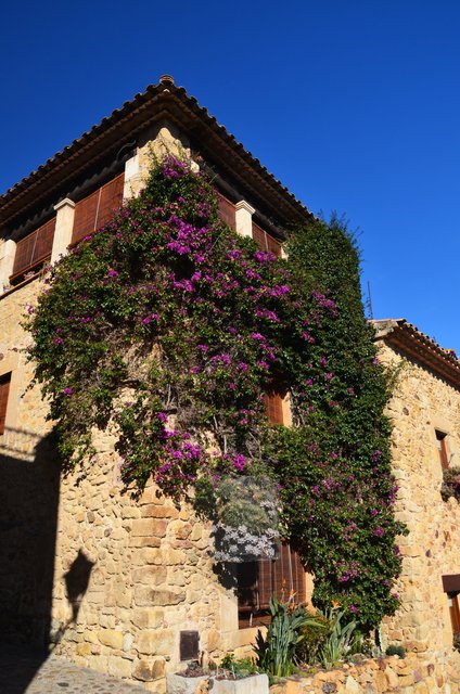 PALS-21-11-2017 - Gerona y sus pueblos-2016/2017 (57)