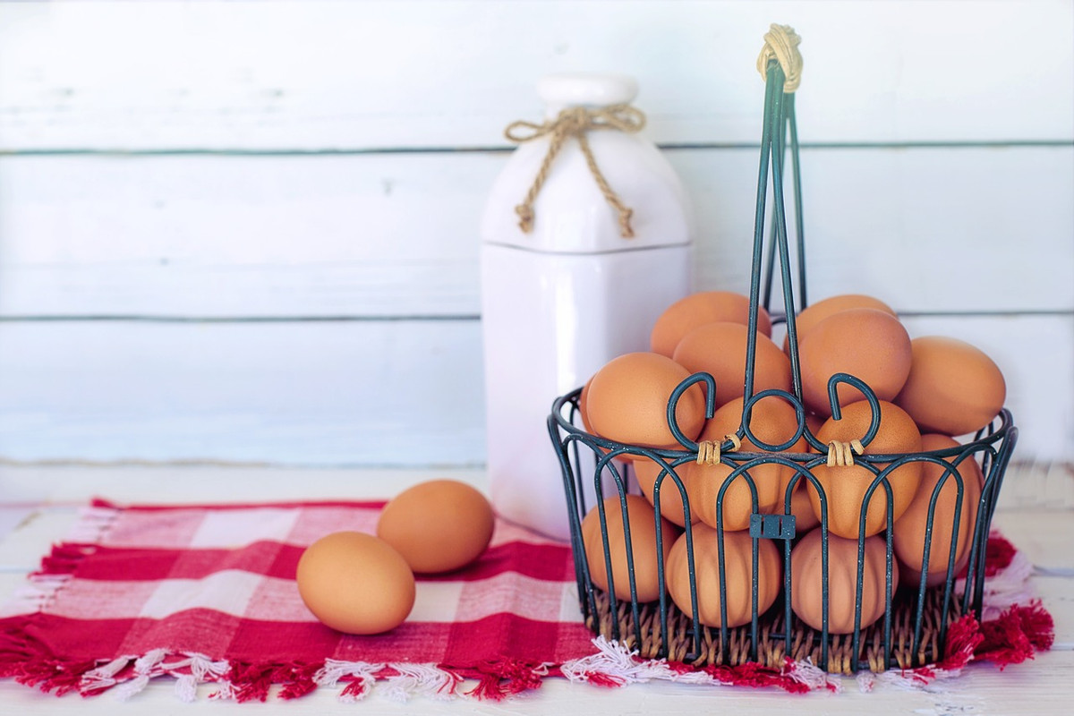 Eating Eggs