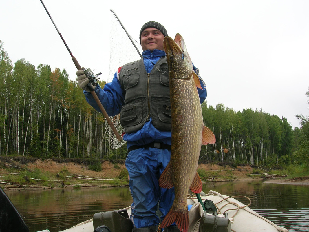 Изображение 019