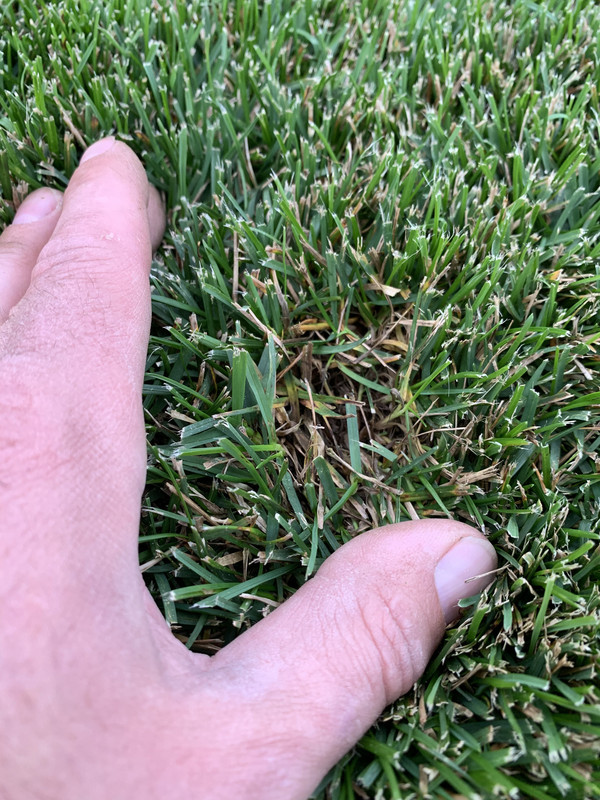 4495E87A-560C-4BFD-8345-7CF5D5BC7AAB