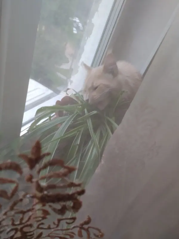 HFKbi2UmiCGQJ2uh3YuIchzeZ6oFb8_-R9gS2TFsvG_jB4y0TdScsI2oO4M89UphV5ZTlyYtr0uVkO-vuYIgfz2Q