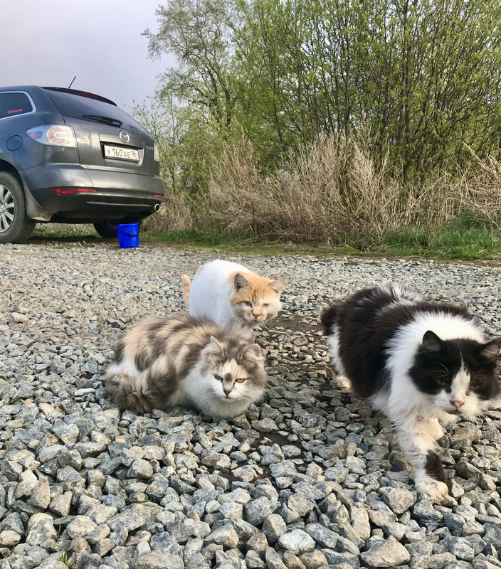 683F82BF-9814-402D-8335-3A4129E46572