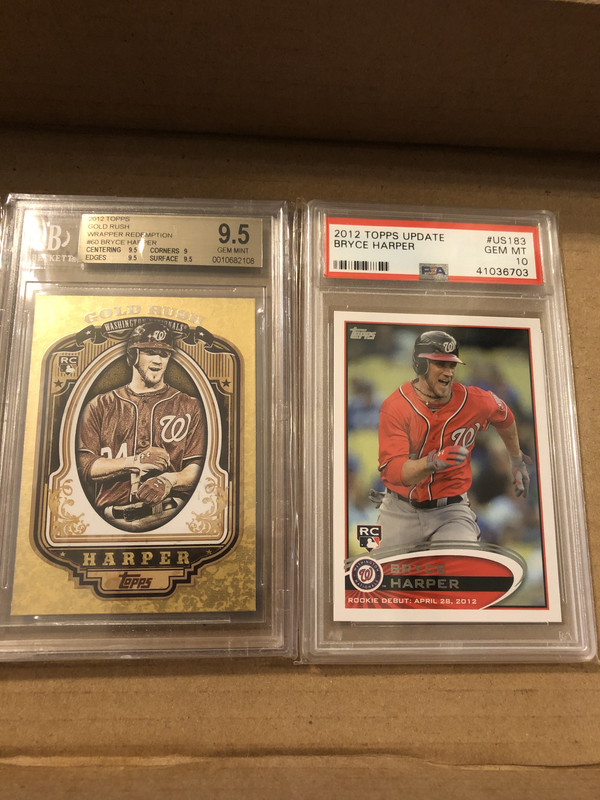 52081999132_c62b7599f1_o