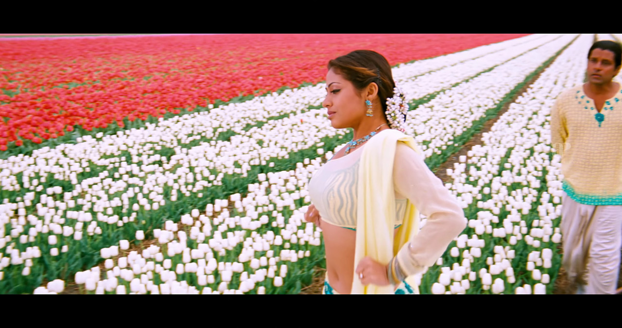 VideoCapture_20241122-195534