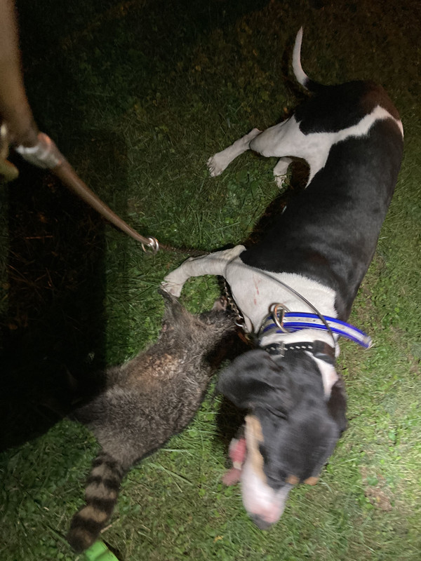 F2B3C77D-F759-4AC3-8C55-A2DE0FE25784