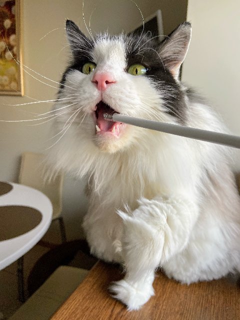 E59-BB809-B886-417-B-8240-F4-EA91-E2-C22