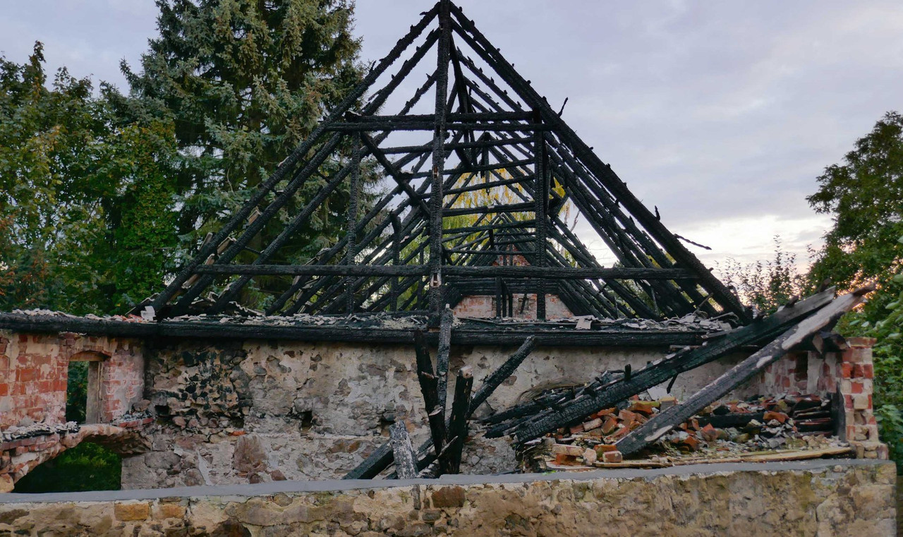 Bild: https://i.postimg.cc/MKLQHNKf/P1310018.jpg