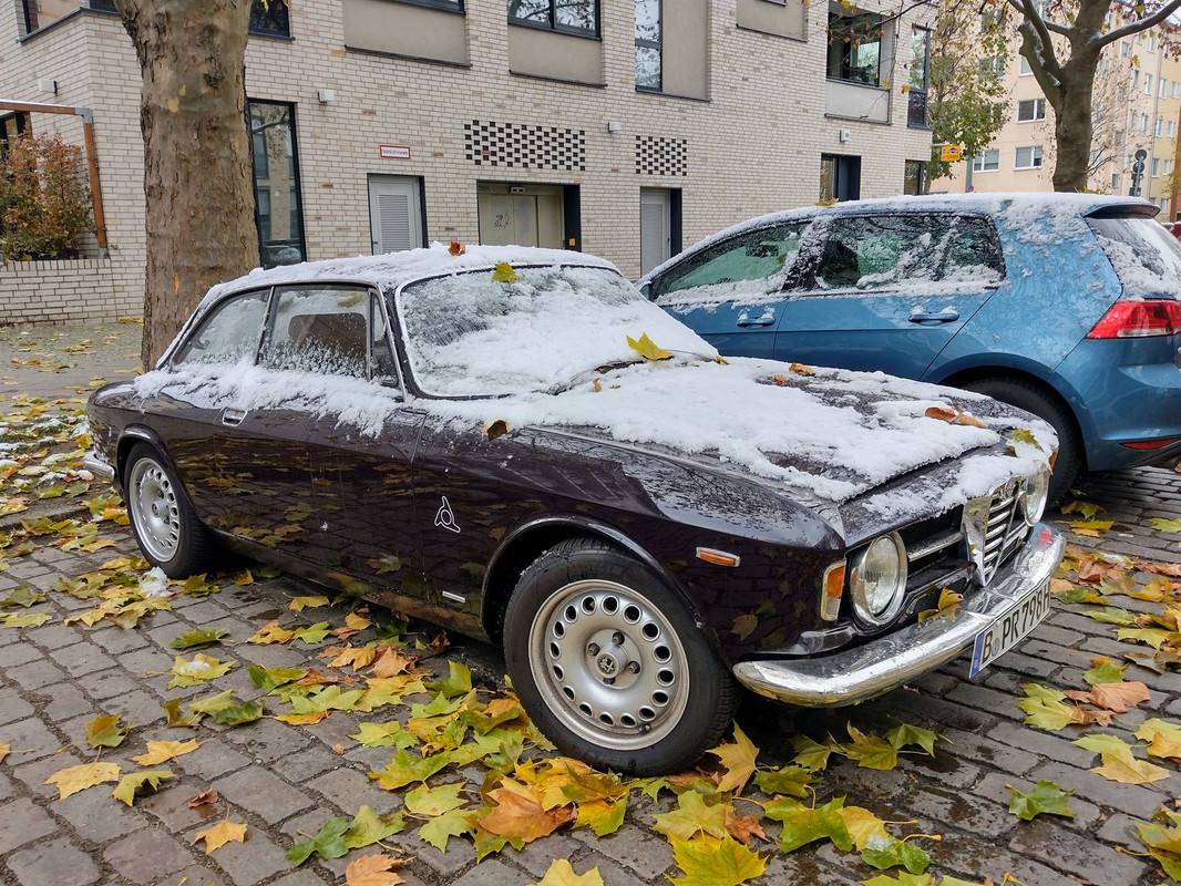 IMG-20221120-105824918-HDR-2.jpg