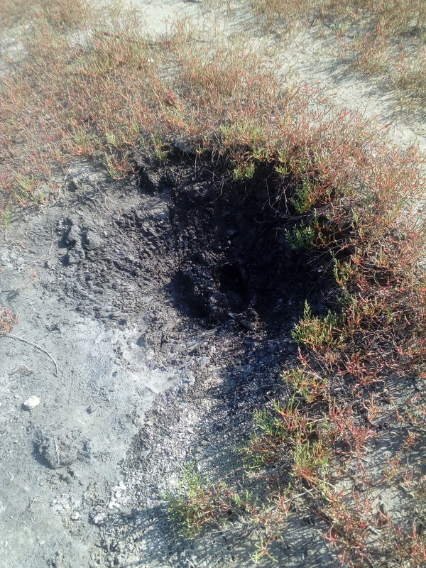 IMG_20170911_160028_2CS