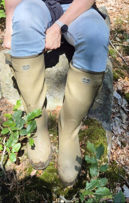 Screenshot 20260205 200816 Gallery