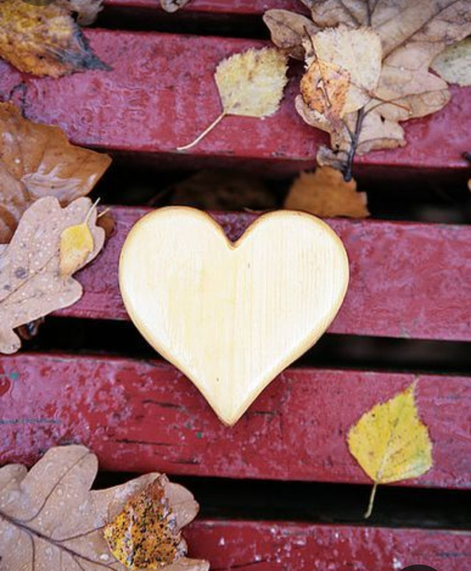 Screenshot_20240210_223326_Pinterest