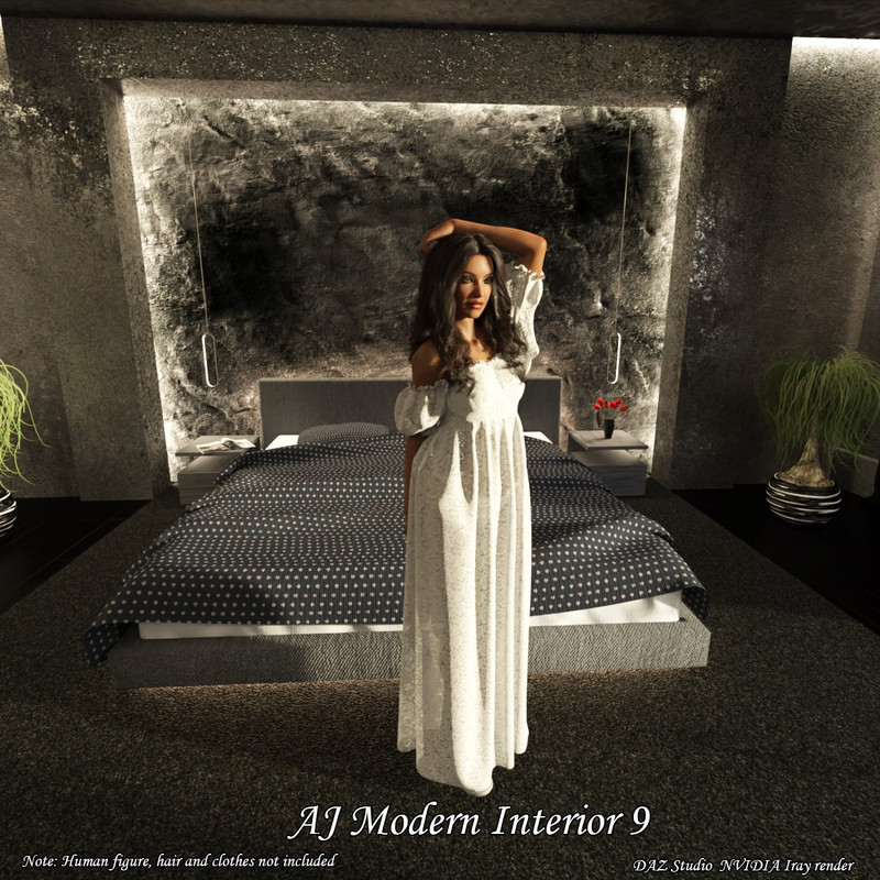 AJ Modern Interior 9