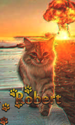 robert.png