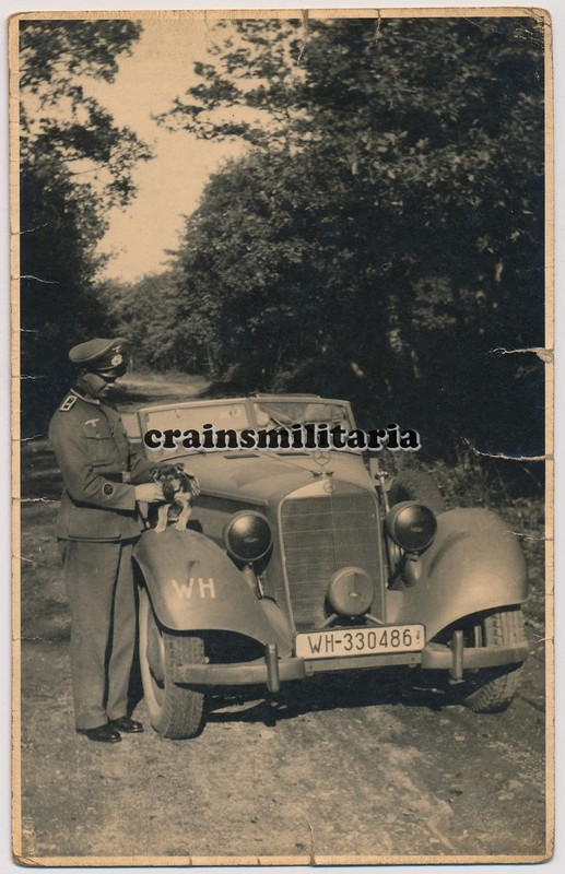 Orig. Foto Shirrmeister m. Hund Hündchen b. Merc
