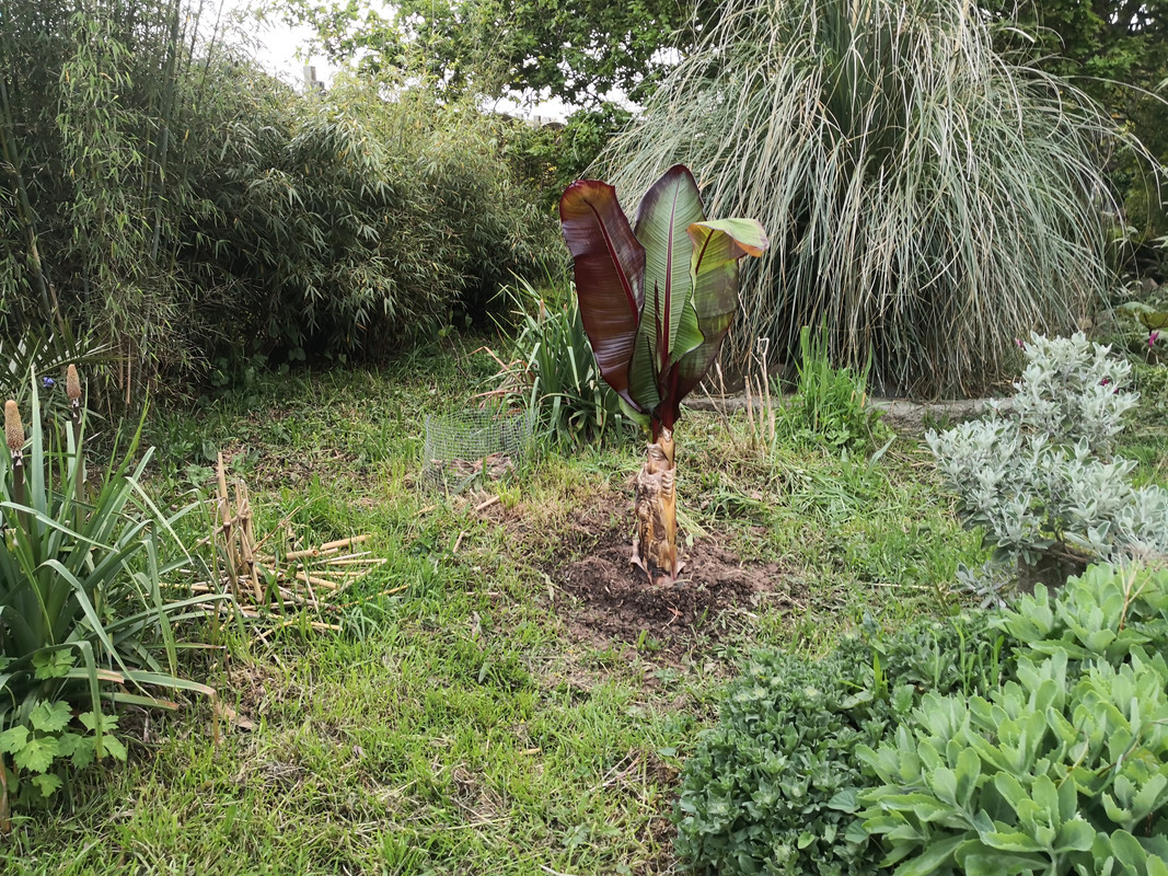 Img 20230507 204314 Postimages