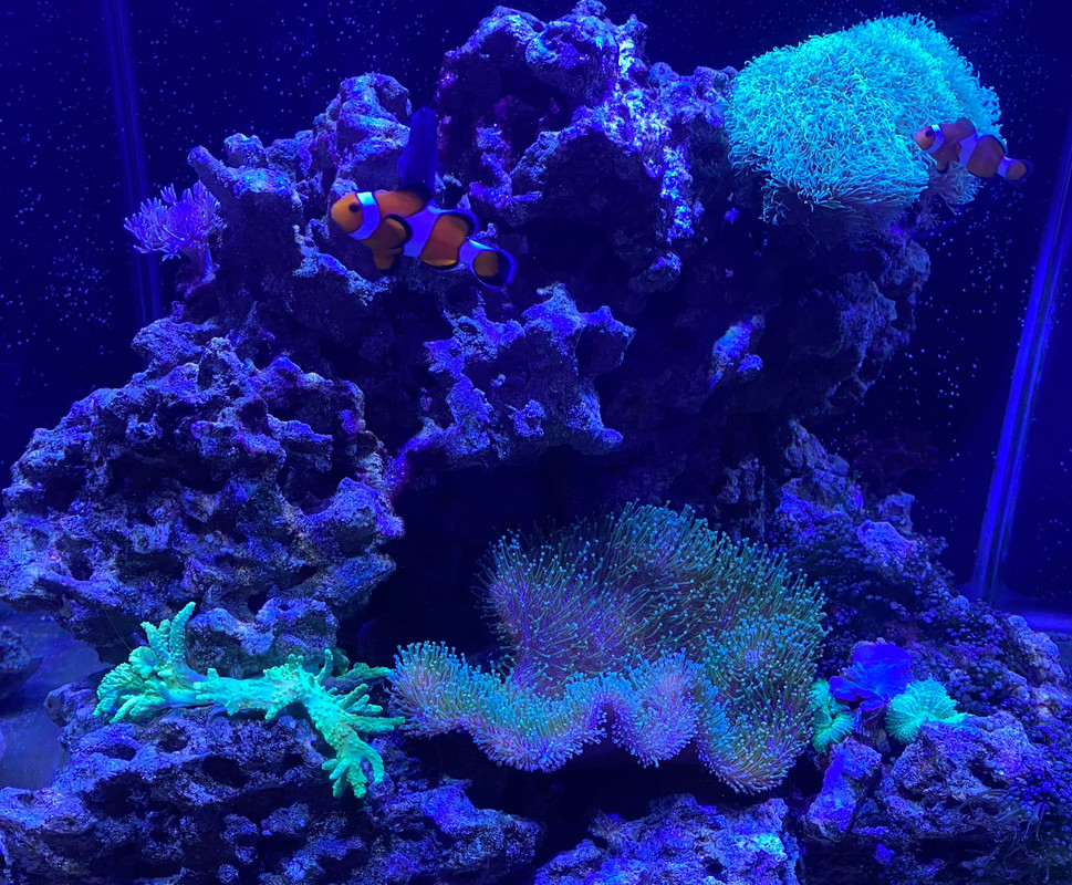 276EA0A0-1F15-4D9A-83E5-60019D5A130C