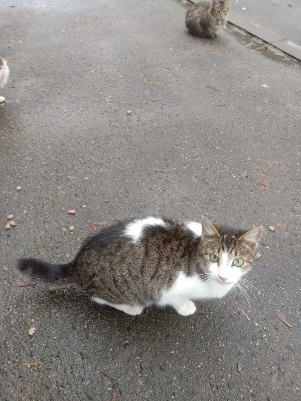 F1C36744-4B15-4235-AF50-E4873C2BB63F