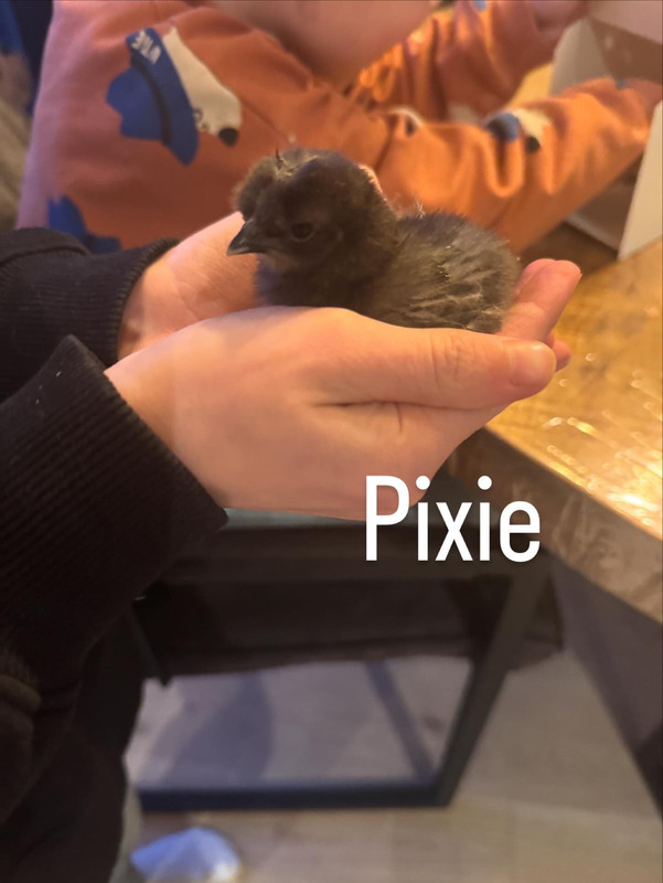 c6d1adaf de4c 401e a2de 60c2a92fd63a