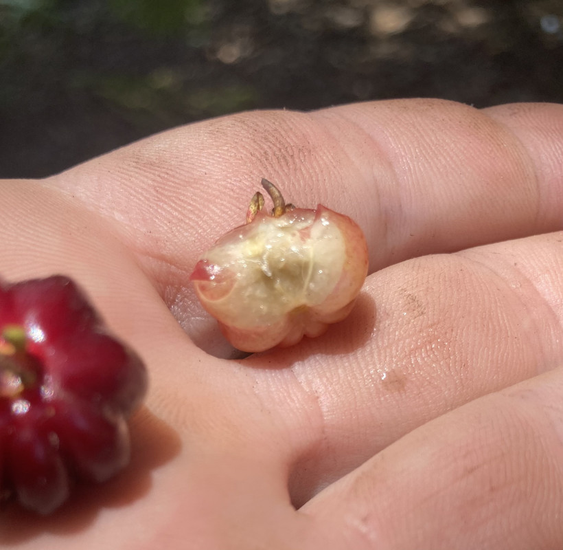 0B485FDA-B33D-4E65-919C-D88EABB630ED