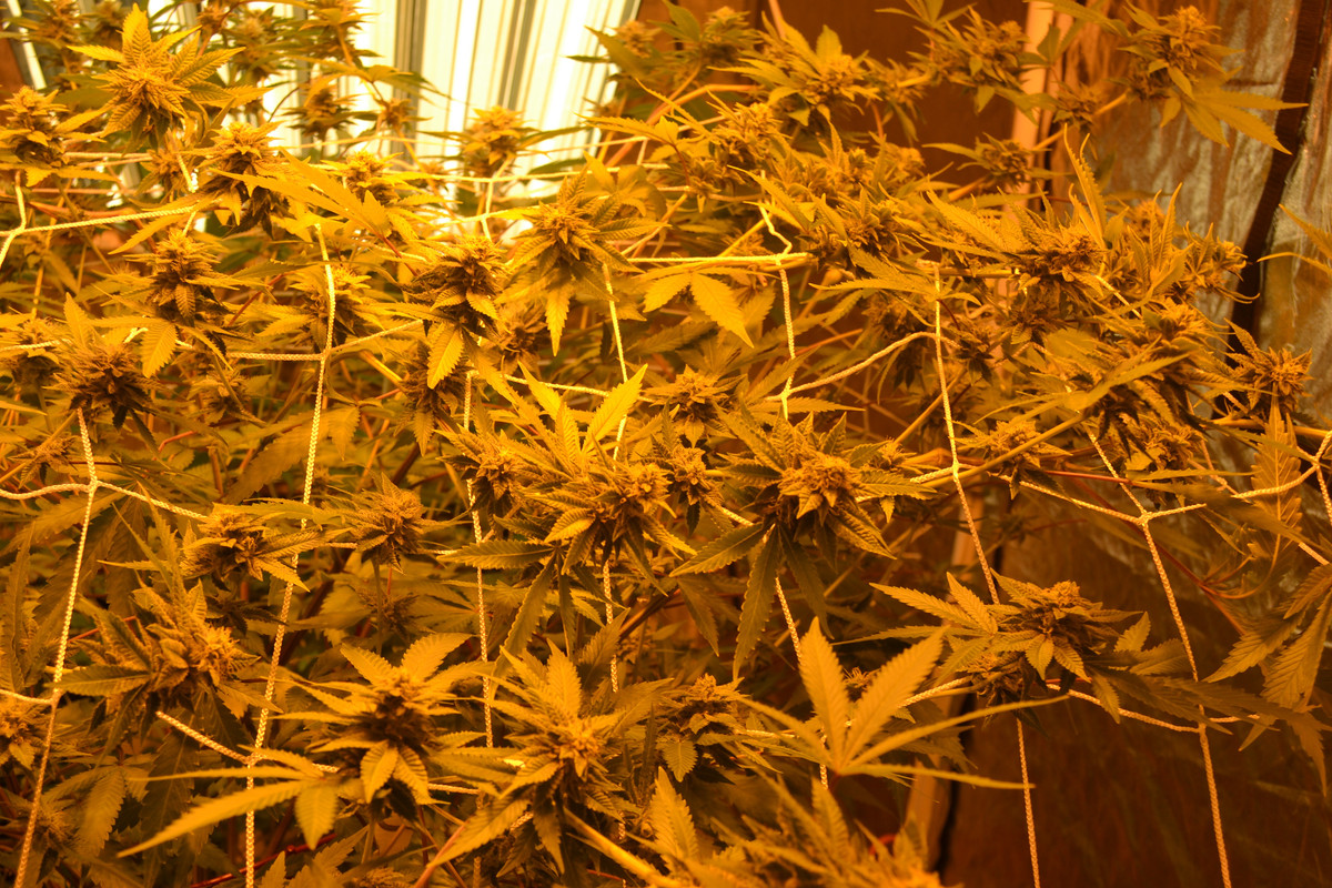 IMG_20171129_010215_100