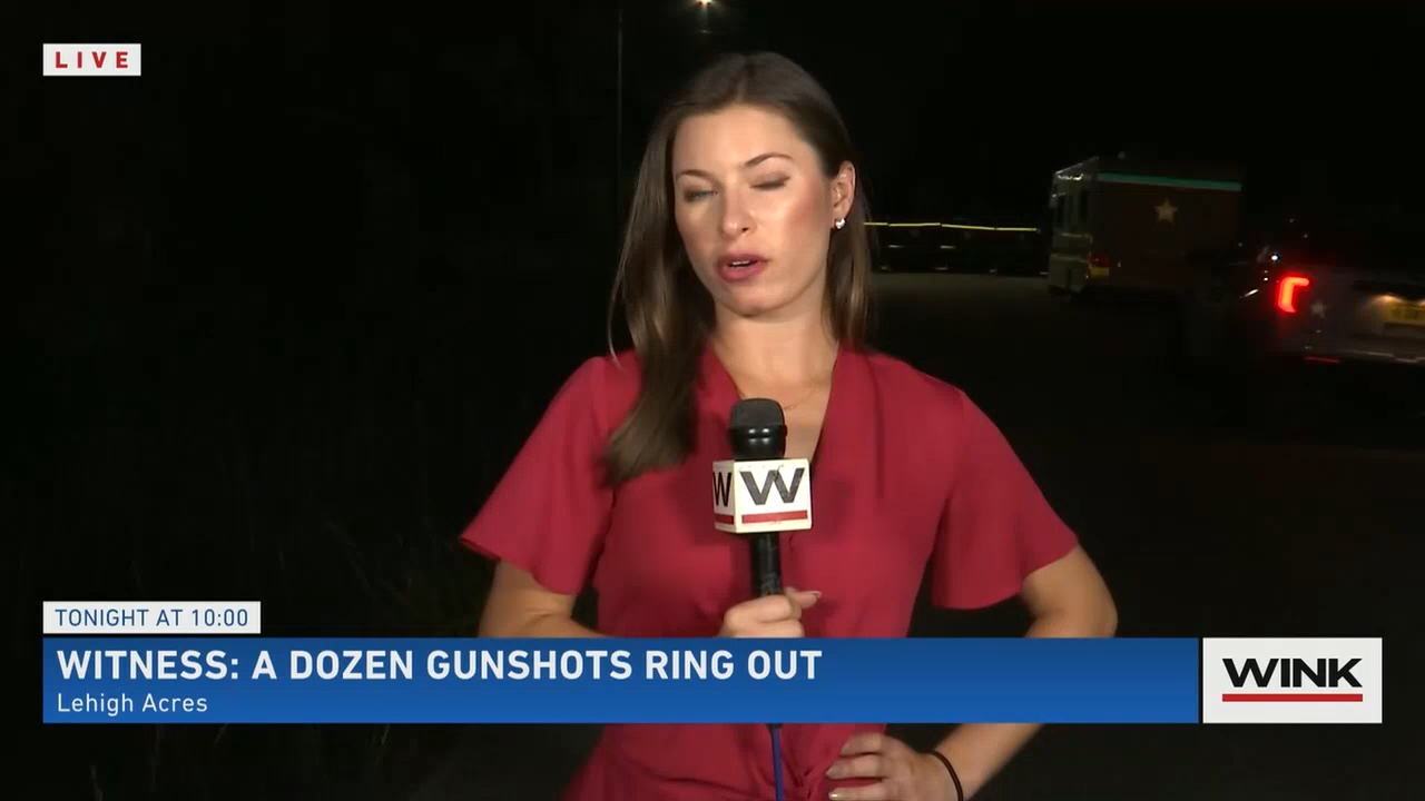 10.15 - 03.00.00 - WINK News at 10 00 p.m..ts_snapshot_11.06.710