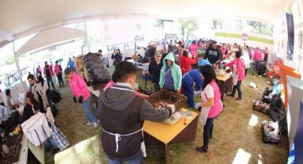 Día del Reciclaje: CDMX organiza Mercado de Trueque y Reciclatrón; busca proteger el medio ambiente