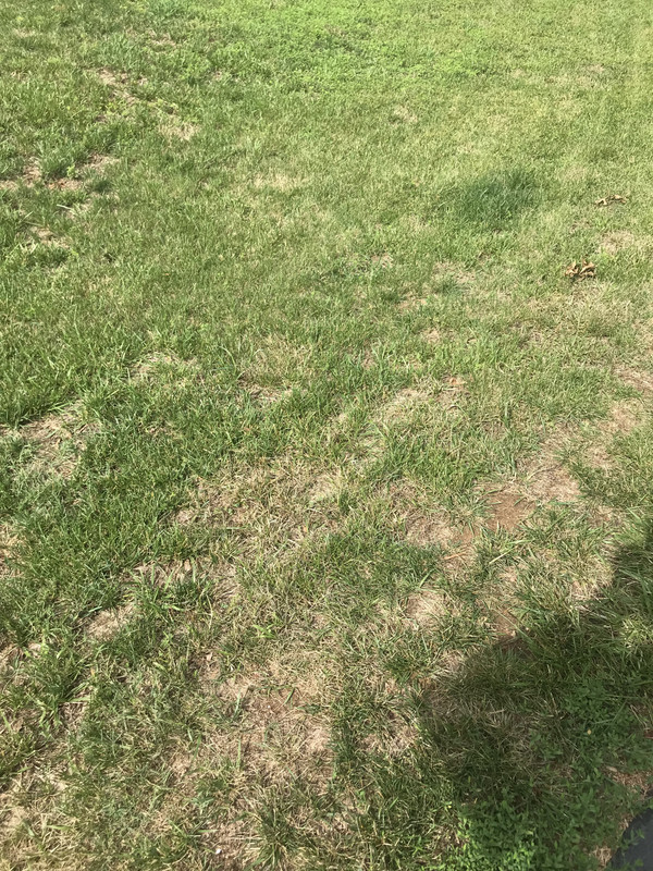 8F447600-B0F2-4D55-AF52-0CB457F55C97