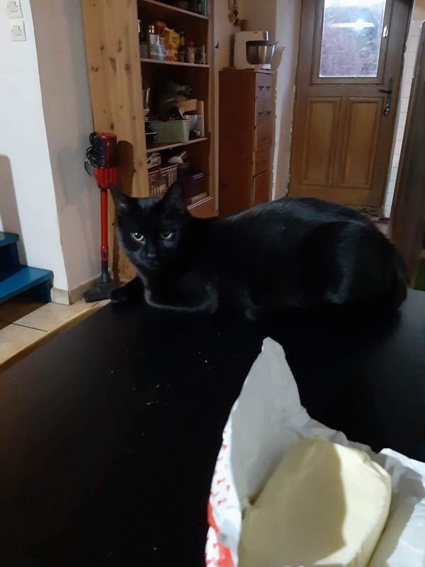 received_1353209685519921