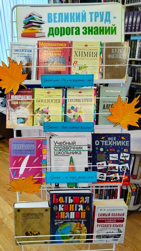 WhatsApp Image 2025-08-28 at 14.48.04