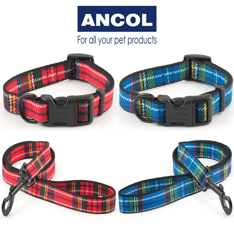 Ancol Tartan Dog Collar Red Blue Green 