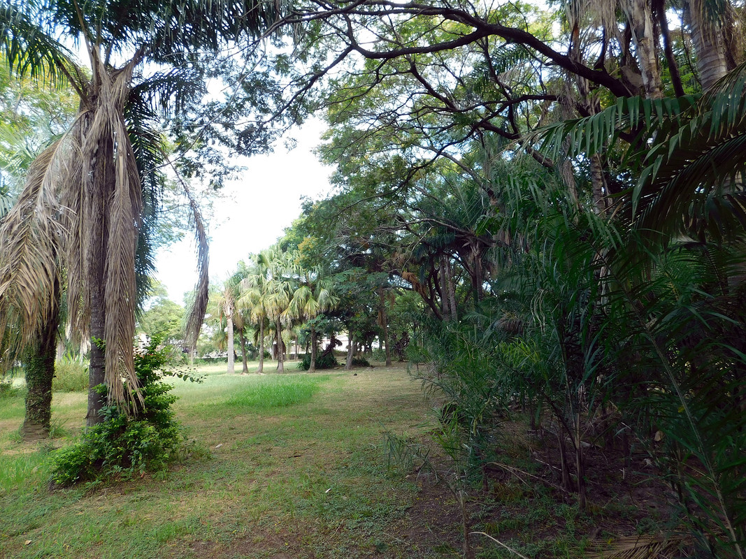 DSCN0488.jpg