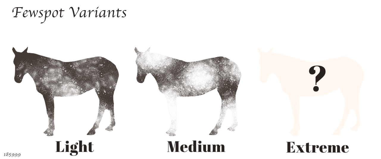 Fewspot-Variants.png